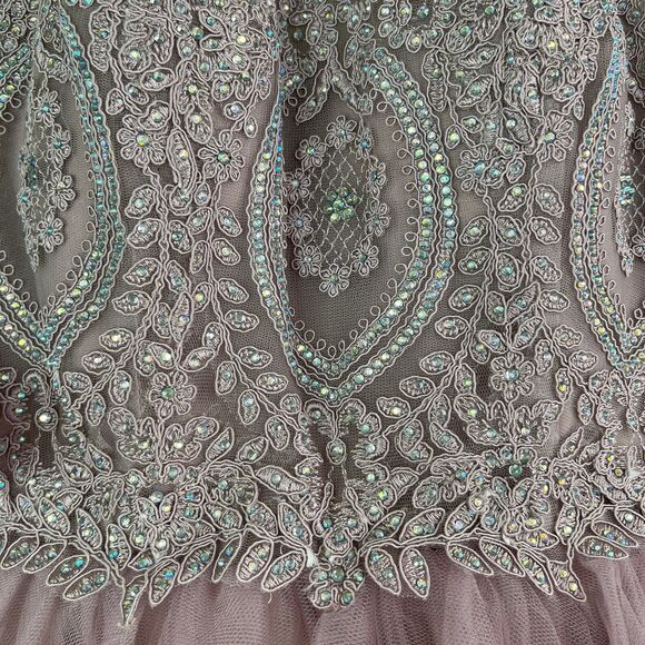 Nox Anabel Sparkly Lace Applique Bodice Tulle Cocktail Mini Dress-New Size S - Picture 8 of 12